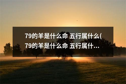 79的羊是什么命 五行属什么(79的羊是什么命 五行属什么适合什么颜色)