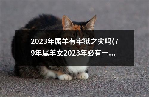 2023年属羊有牢狱之灾吗(79年属羊女2023年必有一凶)