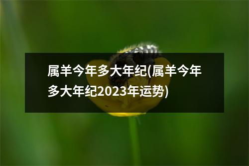 属羊今年多大年纪(属羊今年多大年纪2023年运势)