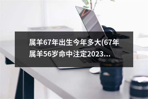 属羊67年出生今年多大(67年属羊56岁命中注定2023)