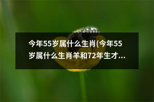 今年55岁属什么生肖(今年55岁属什么生肖羊和72年生才)