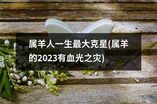 属羊人一生大克星(属羊的2023有血光之灾)