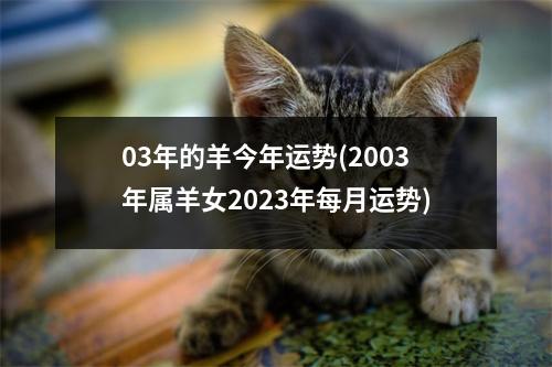 03年的羊今年运势(2003年属羊女2023年每月运势)