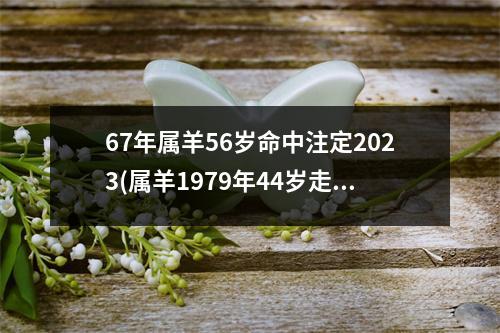 67年属羊56岁命中注定2023(属羊1979年44岁走大运)