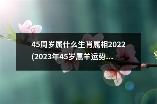 45周岁属什么生肖属相2022(2023年45岁属羊运势)