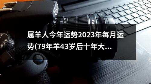 属羊人今年运势2023年每月运势(79年羊43岁后十年大运运程)