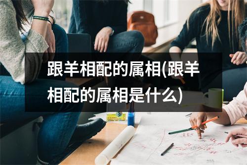 跟羊相配的属相(跟羊相配的属相是什么)