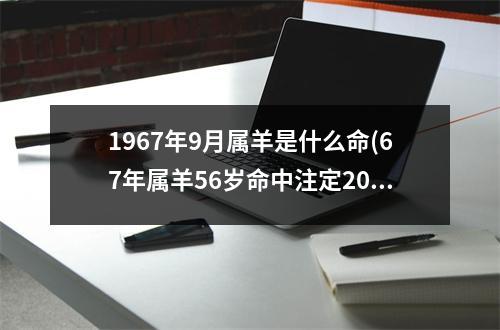 1967年9月属羊是什么命(67年属羊56岁命中注定2023)