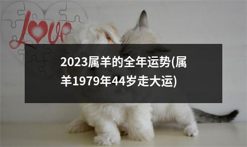 2023属羊的全年运势(属羊1979年44岁走大运)