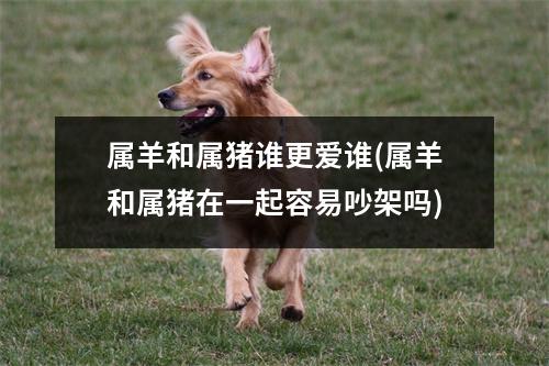 属羊和属猪谁更爱谁(属羊和属猪在一起容易吵架吗)