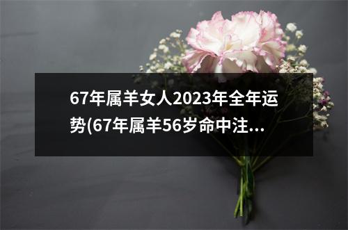 67年属羊女人2023年全年运势(67年属羊56岁命中注定2023)