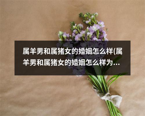 属羊男和属猪女的婚姻怎么样(属羊男和属猪女的婚姻怎么样为啥老吵架)