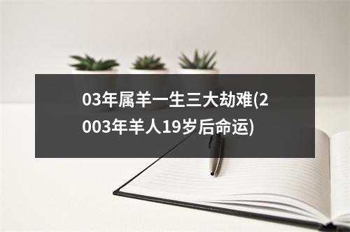 03年属羊一生三大劫难(2003年羊人19岁后命运)