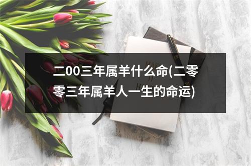 二00三年属羊什么命(二零零三年属羊人一生的命运)