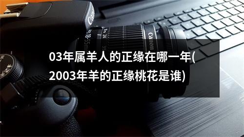 03年属羊人的正缘在哪一年(2003年羊的正缘桃花是谁)