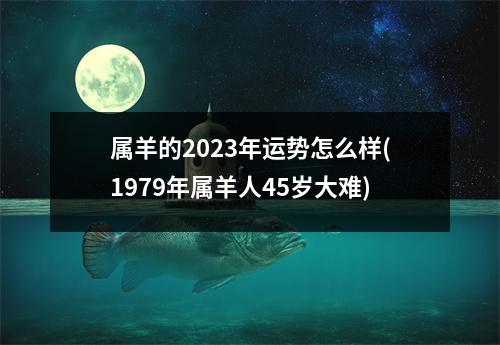 属羊的2023年运势怎么样(1979年属羊人45岁大难)