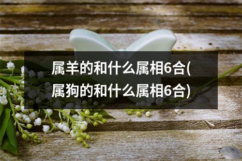 属羊的和什么属相6合(属狗的和什么属相6合)