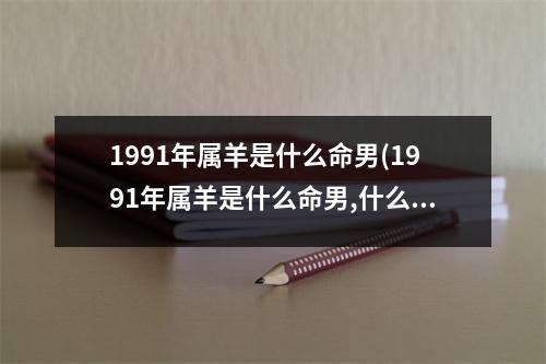 1991年属羊是什么命男(1991年属羊是什么命男,什么时候结婚)