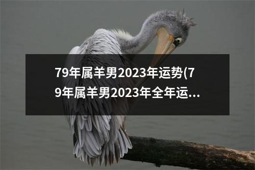 79年属羊男2023年运势(79年属羊男2023年全年运势详解)