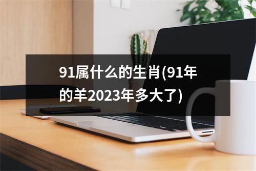 91属什么的生肖(91年的羊2023年多大了)