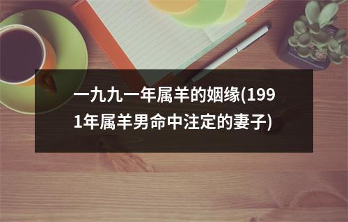 一九九一年属羊的姻缘(1991年属羊男命中注定的妻子)