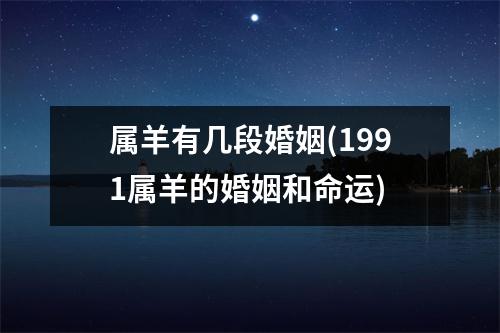 属羊有几段婚姻(1991属羊的婚姻和命运)