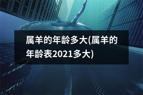 属羊的年龄多大(属羊的年龄表2021多大)