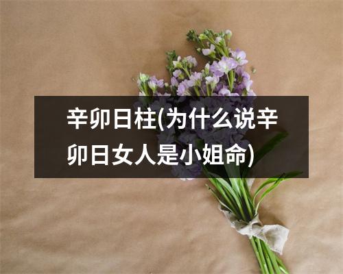 辛卯日柱(为什么说辛卯日女人是小姐命)