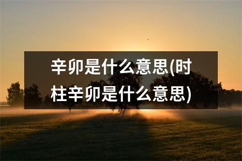 辛卯是什么意思(时柱辛卯是什么意思)