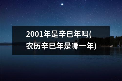 2001年是辛巳年吗(农历辛巳年是哪一年)