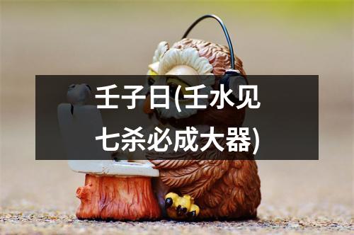 壬子日(壬水见七杀必成大器)