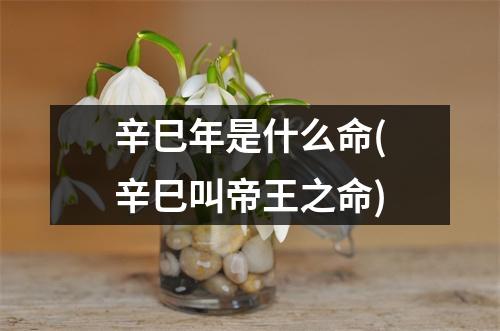 辛巳年是什么命(辛巳叫帝王之命)