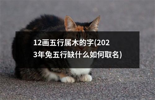 12画五行属木的字(2023年兔五行缺什么如何取名)