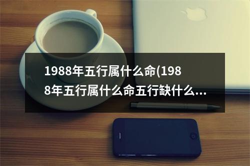 1988年五行属什么命(1988年五行属什么命五行缺什么)