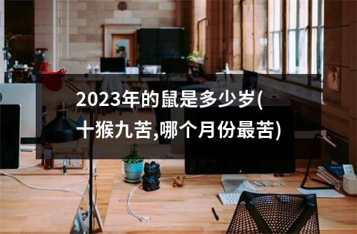 2023年的鼠是多少岁(十猴九苦,哪个月份苦)