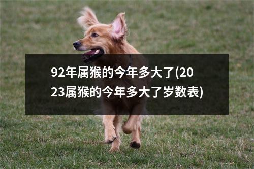 92年属猴的今年多大了(2023属猴的今年多大了岁数表)