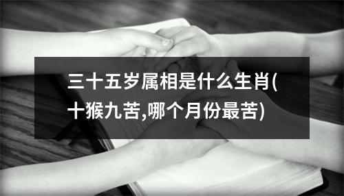 三十五岁属相是什么生肖(十猴九苦,哪个月份苦)