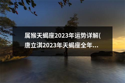 属猴天蝎座2023年运势详解(唐立淇2023年天蝎座全年运势详解)