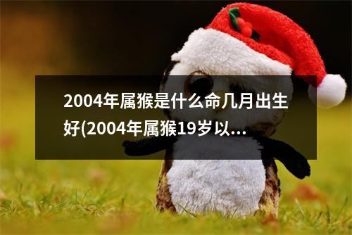 2004年属猴是什么命几月出生好(2004年属猴19岁以后一生运势)