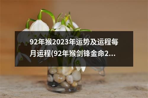 92年猴2023年运势及运程每月运程(92年猴剑锋金命2023年运势)