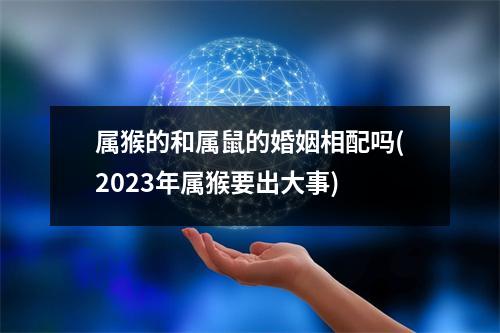 属猴的和属鼠的婚姻相配吗(2023年属猴要出大事)