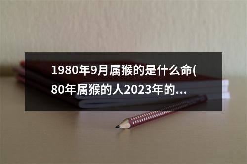 1980年9月属猴的是什么命(80年属猴的人2023年的运势及运程)