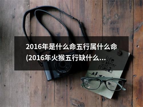 2016年是什么命五行属什么命(2016年火猴五行缺什么)