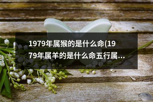 1979年属猴的是什么命(1979年属羊的是什么命五行属什么)