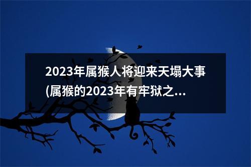 2023年属猴人将迎来天塌大事(属猴的2023年有牢狱之灾吗)