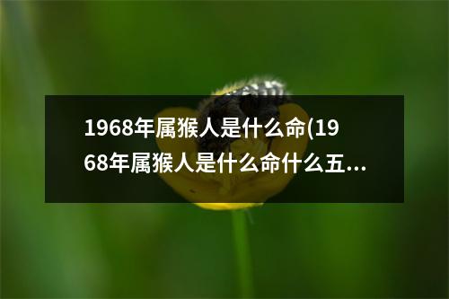 1968年属猴人是什么命(1968年属猴人是什么命什么五行)