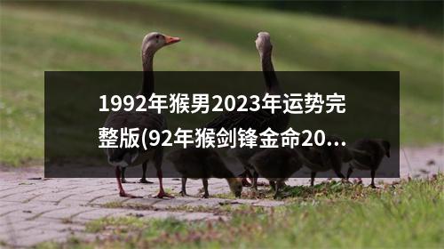 1992年猴男2023年运势完整版(92年猴剑锋金命2023年运势)