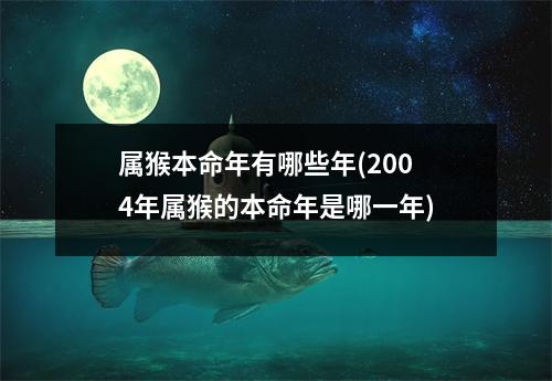 属猴本命年有哪些年(2004年属猴的本命年是哪一年)