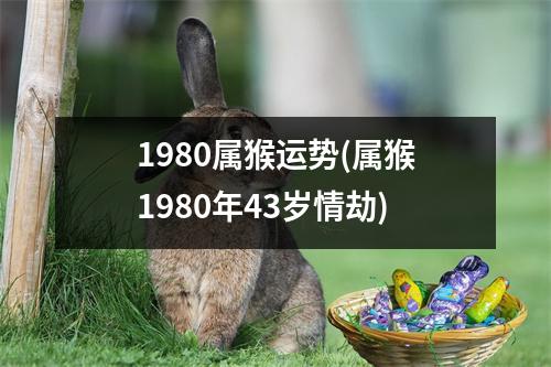 1980属猴运势(属猴1980年43岁情劫)