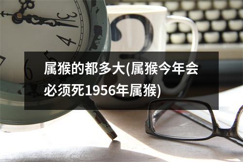 属猴的都多大(属猴今年会必须死1956年属猴)